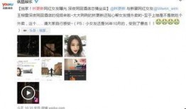 爆料网红女友视频大全集,全程回顾惊心动魄瞬间