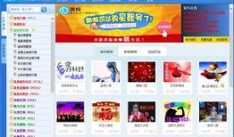 凯悦最新爆料视频播放,奢华背后的秘密与挑战