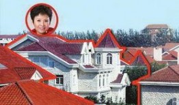 建筑者最新爆料,未来建筑革新趋势前瞻