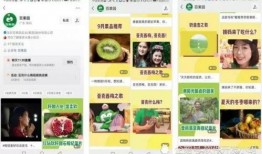 百果园爆料视频大全集播放,探秘水果界的精彩瞬间