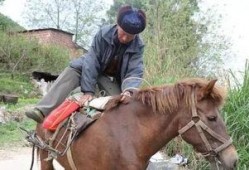 网红骑马爆料视频大全下载,揭秘马背上的精彩瞬间