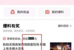 怎么玩头条爆料视频,揭秘玩转短视频的秘诀