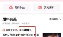 怎么玩头条爆料视频,揭秘玩转短视频的秘诀
