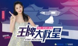 戚佳佳的爆料视频大全集,揭秘娱乐圈幕后真相