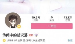 网红玲子爆料视频播放,爆款视频背后的播放量秘密