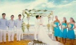 香港婚礼爆料视频播放,浪漫瞬间与温馨时刻