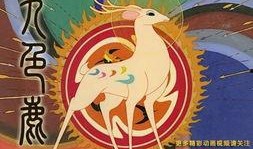 九色鹿爆料视频大全,揭秘幕后真相与精彩瞬间