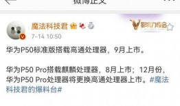 重磅爆料视频大全最新版