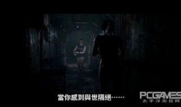 恐怖黑料爆料视频大全,视频大全背后的惊悚真相