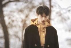 最新娱乐爆料罗云熙视频,神秘剧情引粉丝热议