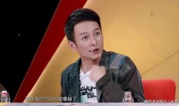 维嘉爆料赵磊视频,视频爆料背后的惊人内幕