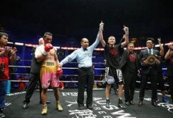 最新拳击爆料新闻,最新爆料揭示拳击界惊天秘密