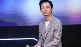 何炅娱乐爆料事件真相是什么,真相大白背后的曲折历程